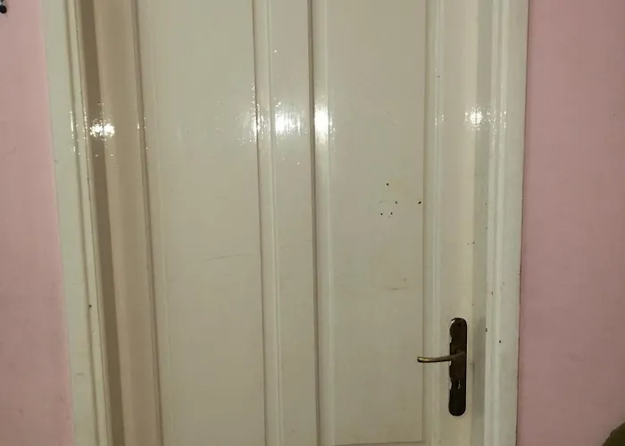 مدينة القصير